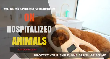 Preferred Identification Methods for Hospitalized Animals: Best Practices Explained