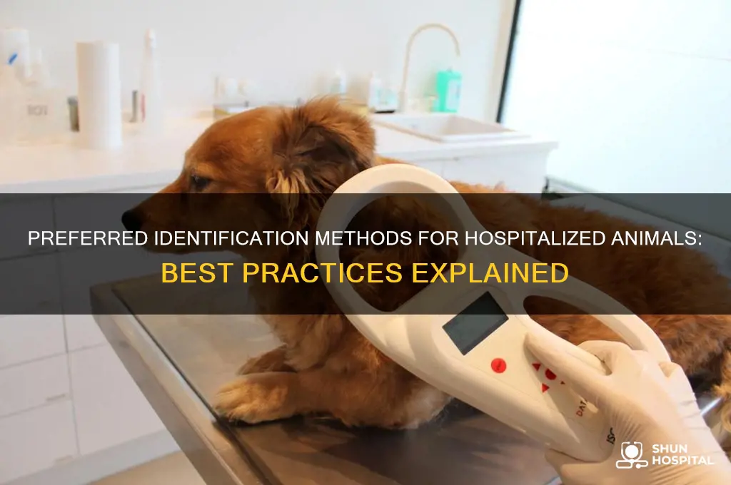 what method is preferred for identification on hospitalized animals
