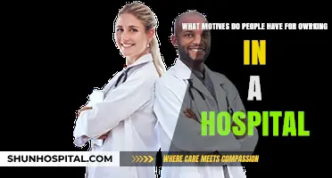Why Work in Healthcare? Exploring Motivations Behind Hospital Careers