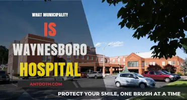 Exploring Healthcare Access: Which Municipality is Waynesboro Hospital In?