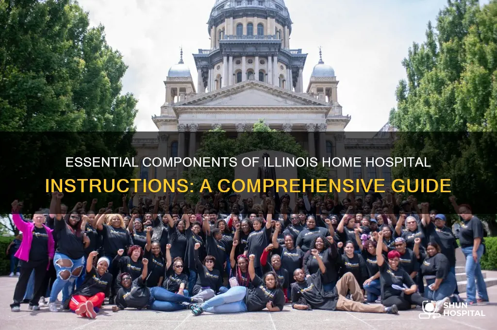 what must be included in illinois home hospital instruction