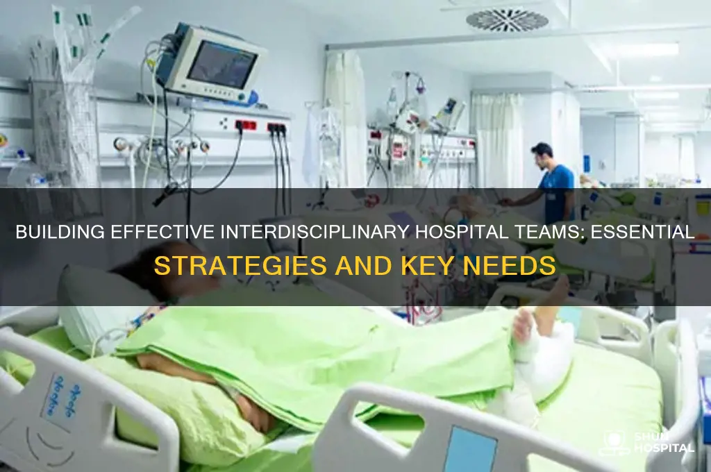 what need when building an interdisciplinary team at a hospital