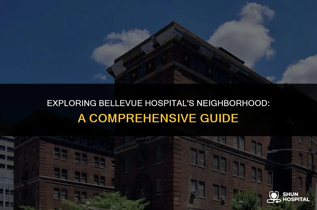 what neighboorhood is belleve hospital