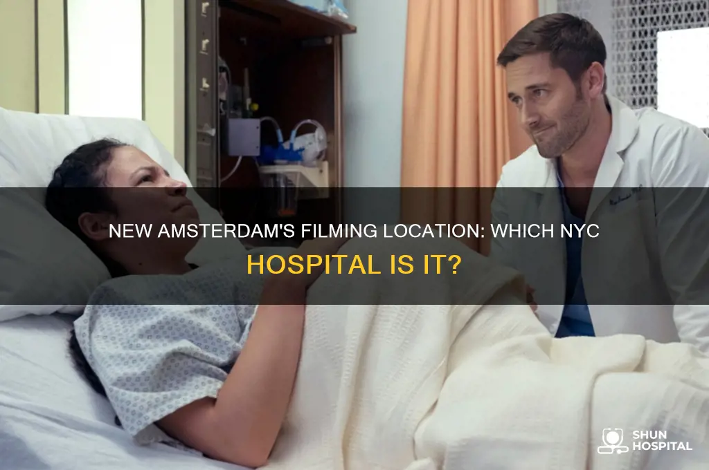 what new york hospital is where new amsterdam filmed