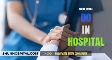 Exploring the Diverse Roles and Responsibilities of Nurses in Hospitals