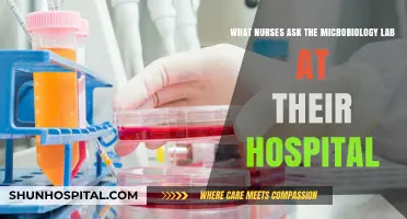 Nurses' Top Microbiology Lab Queries: Essential Questions for Patient Care