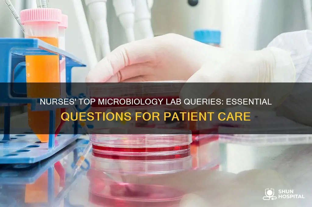 what nurses ask the microbiology lab at their hospital