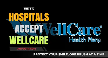 Exploring NYC Hospitals That Welcome WellCare Patients