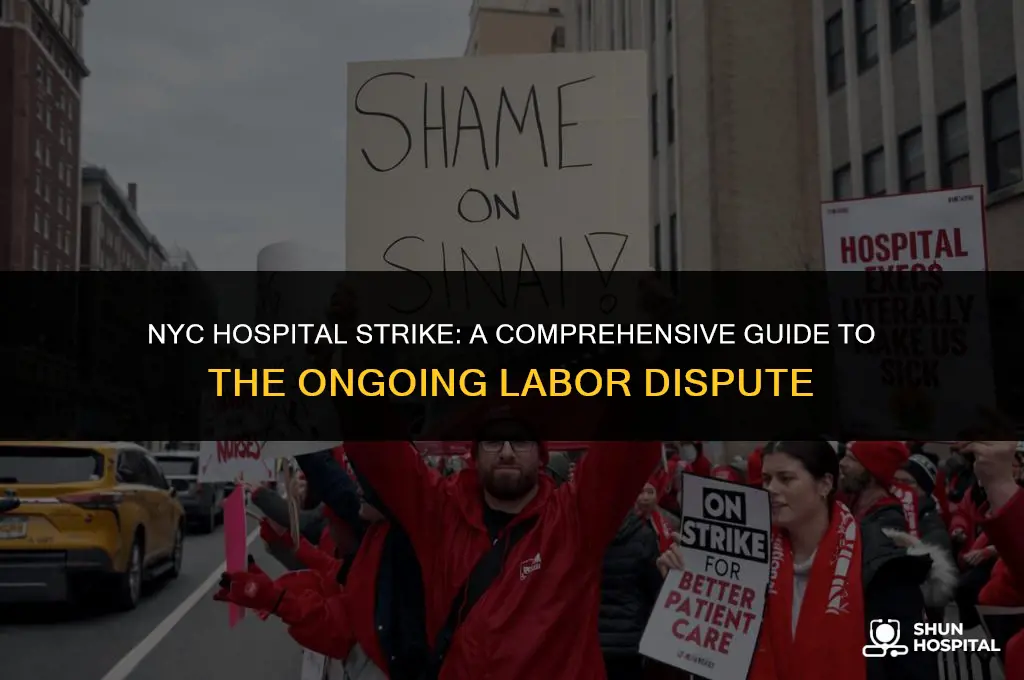 what nyc hospitals are striking