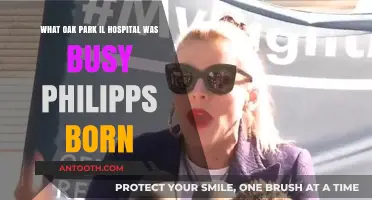 Busy Philipps' Birthplace: Oak Park, IL Hospital Revealed