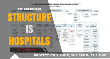 Exploring the Complex Organizational Structure of Modern Hospitals