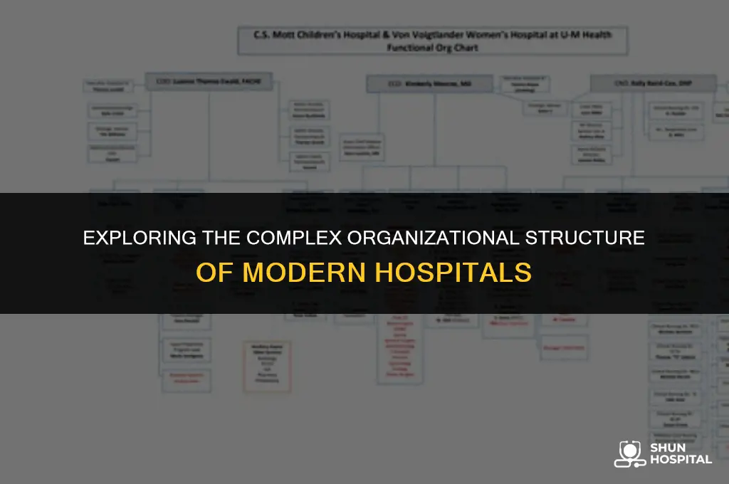 what organizational structure is hospitals