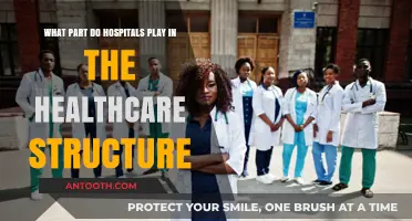 Hospitals' Role in Shaping Healthcare Systems and Patient Outcomes