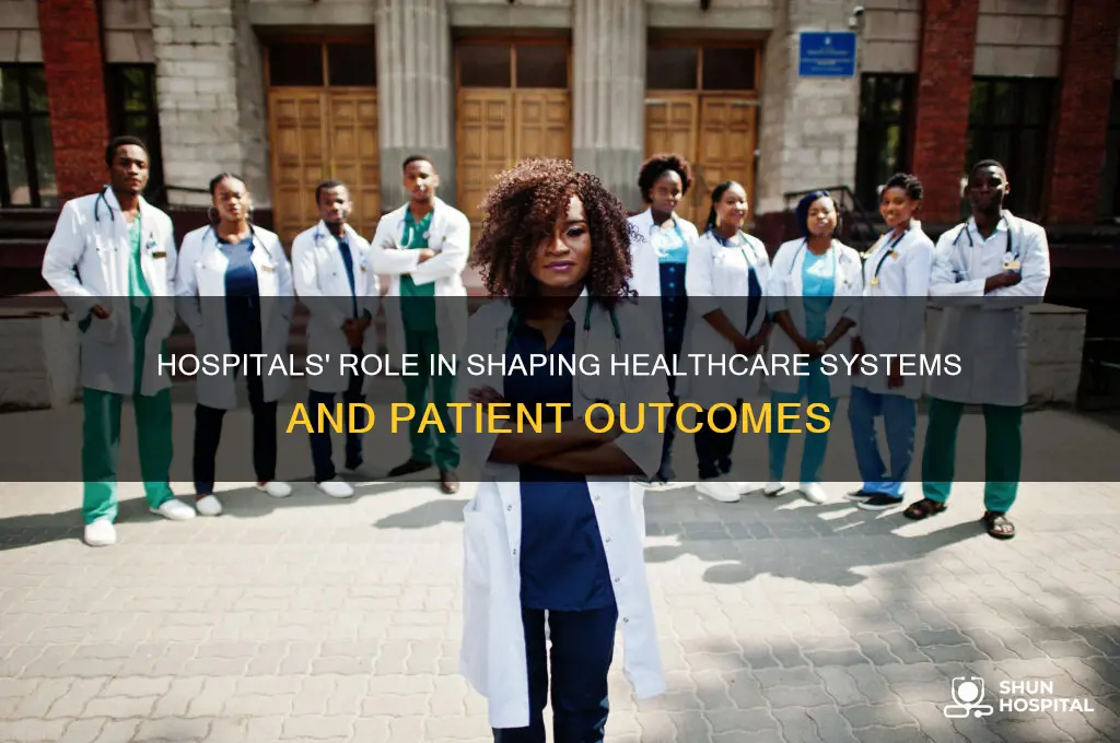what part do hospitals play in the healthcare structure