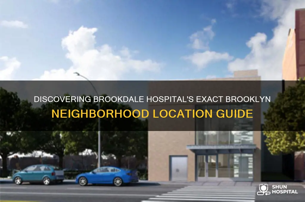 what part of brooklyn is brookdale hospital located in