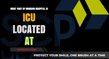 Where is Munson Hospital's ICU Located? A Quick Guide