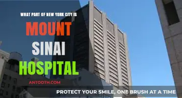 Mount Sinai Hospital's NYC Location: A Guide to Its Neighborhood