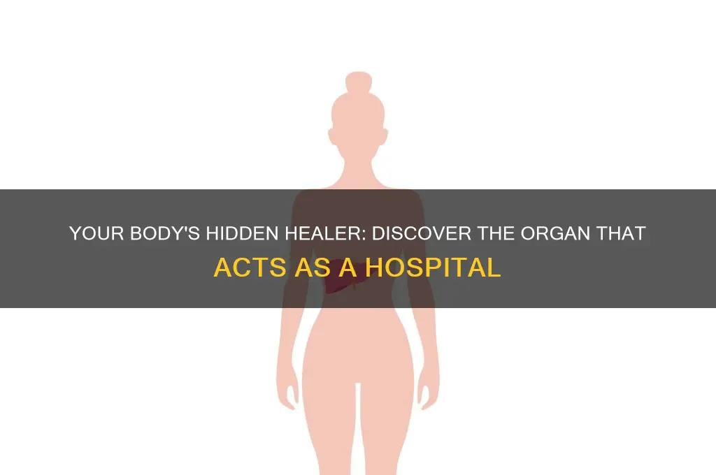 what part of the body part acts as a hospital