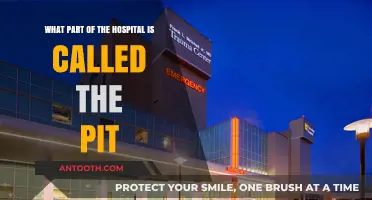 Unveiling the Pit: Exploring the Hospital's High-Stress Trauma Center
