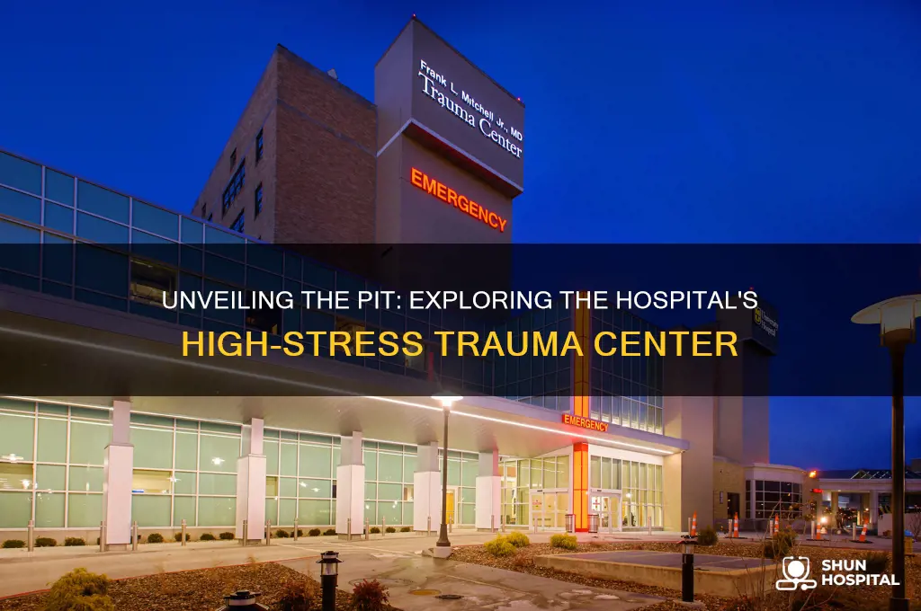 what part of the hospital is called the pit