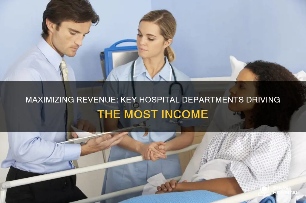 what parts of the hospital generate the most income