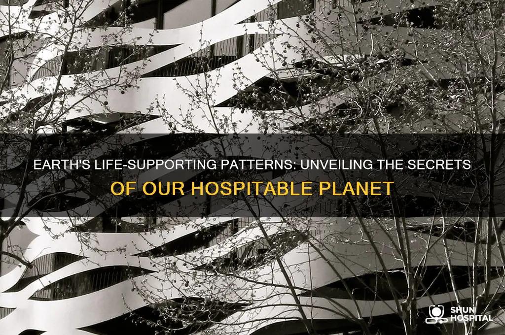 what patterns on earth make it hospitable to life