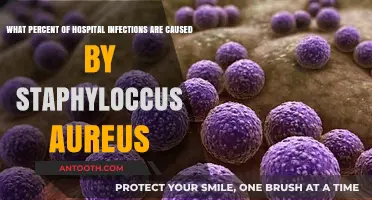 Staphylococcus Aureus: Key Culprit in Hospital-Acquired Infections Percentage