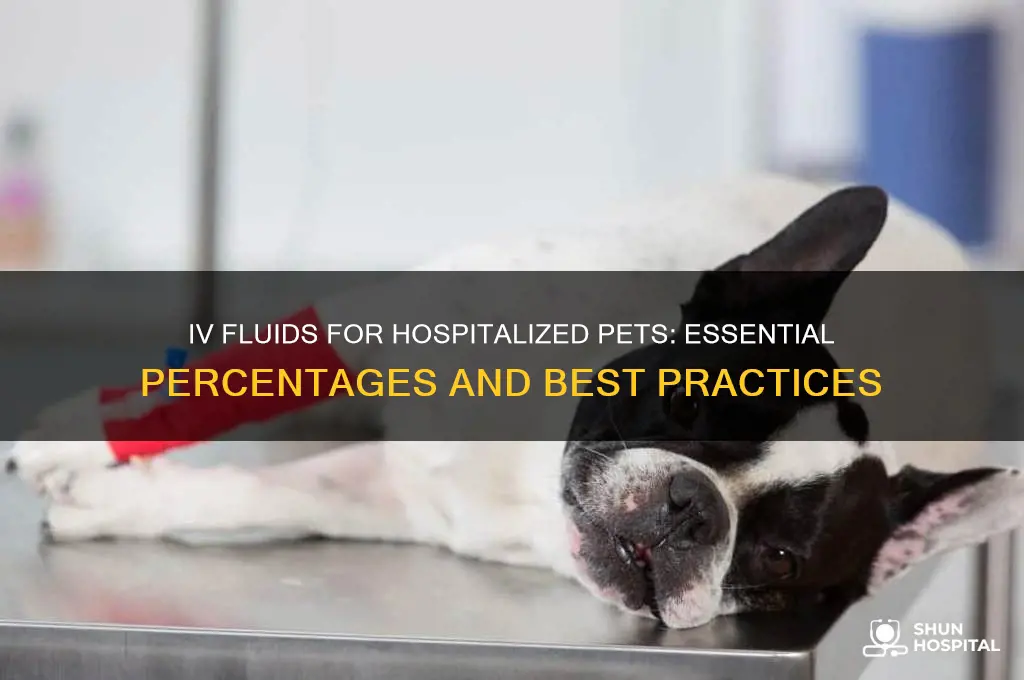 what percent of hospitalized pets should have iv fluids