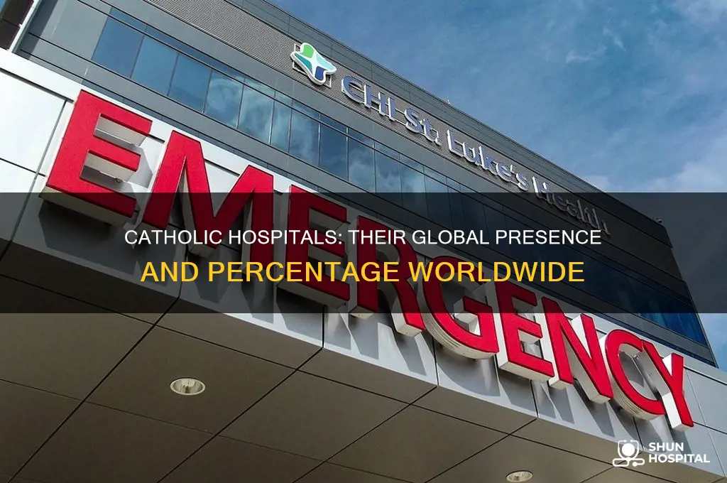 what percent of the world