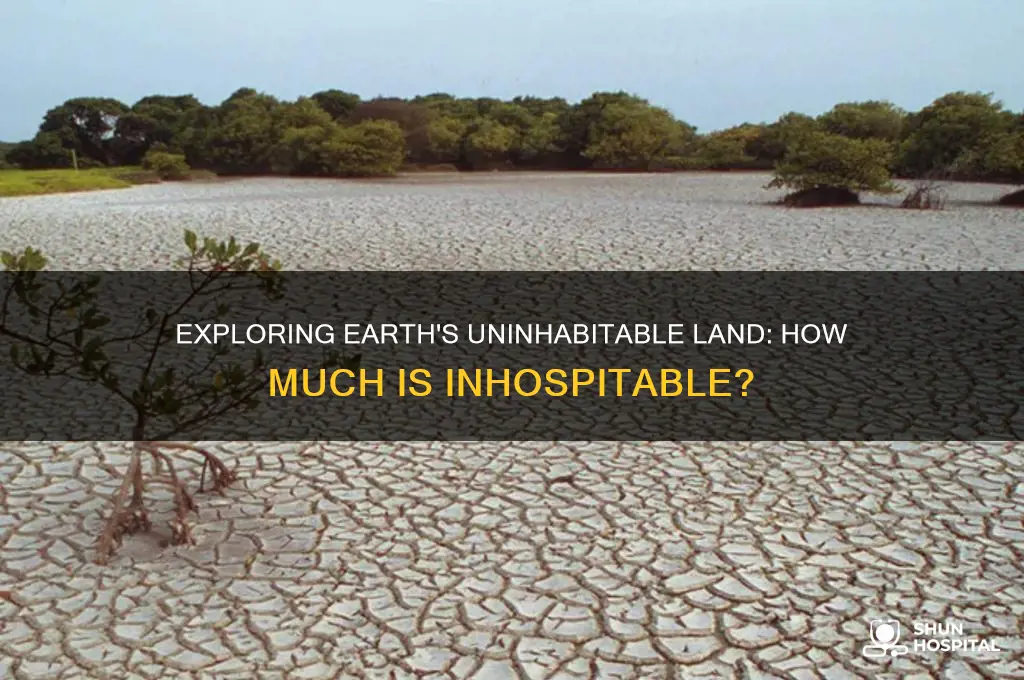 what percentage of earth