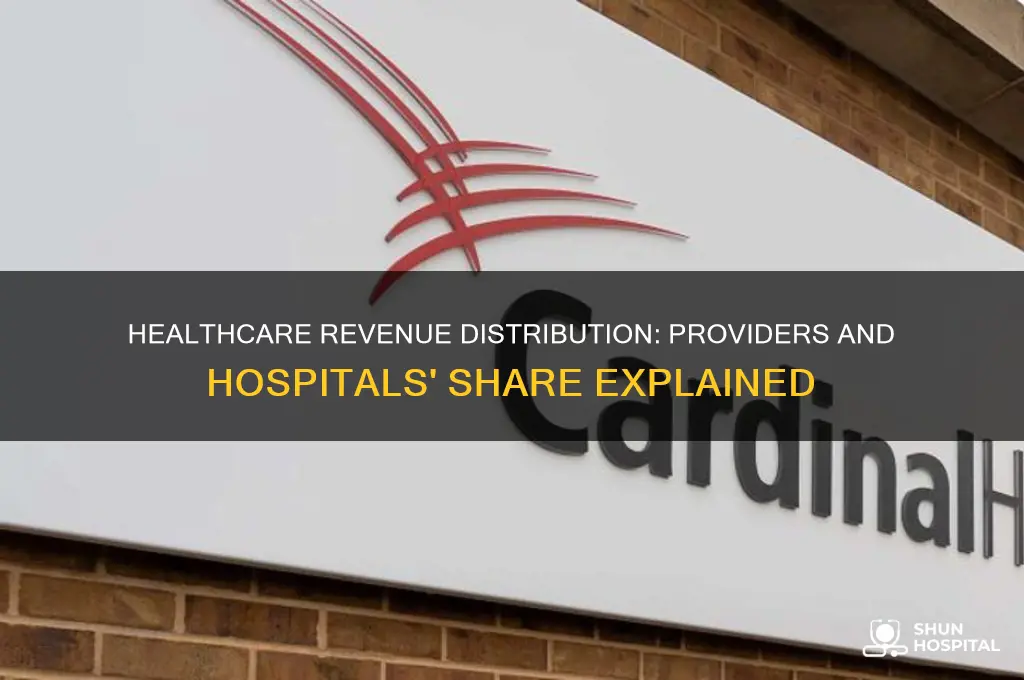 what percentage of healthcare do professional providers and hospitals receive
