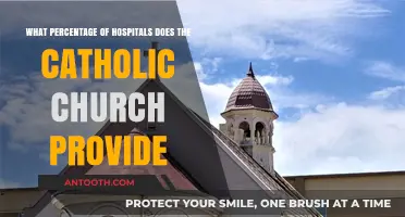 Catholic Church's Role: Percentage of Hospitals They Provide Globally