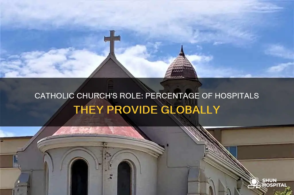 what percentage of hospitals does the catholic church provide