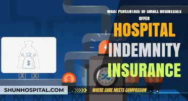 Hospital Indemnity Insurance: How Many Small Businesses Provide Coverage?