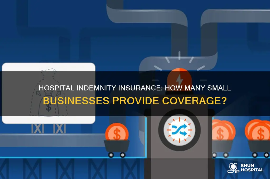 what percentage of small businesses offer hospital indemnity insurance