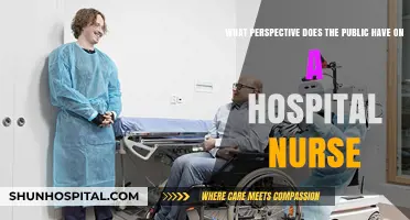 Public Perception of Hospital Nurses: Insights and Realities