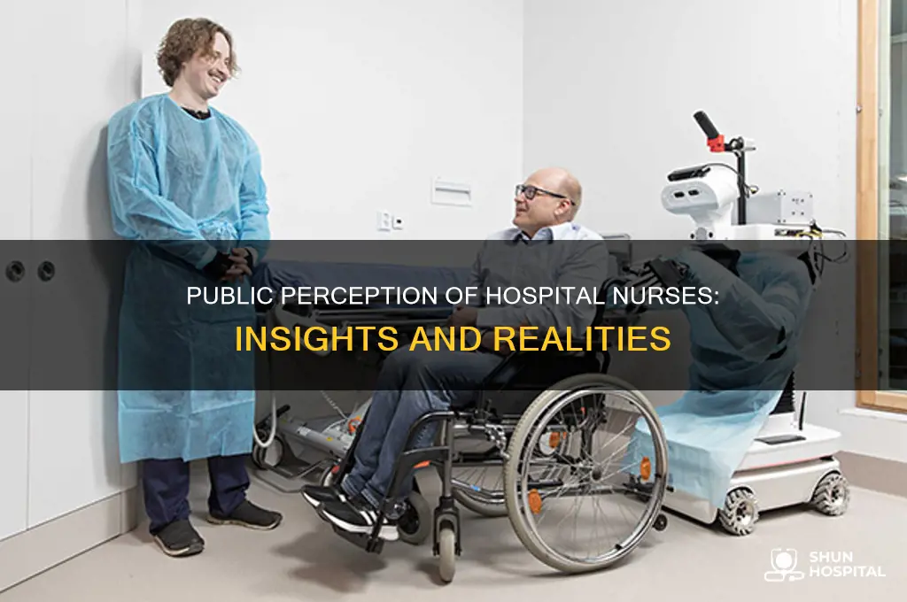 what perspective does the public have on a hospital nurse