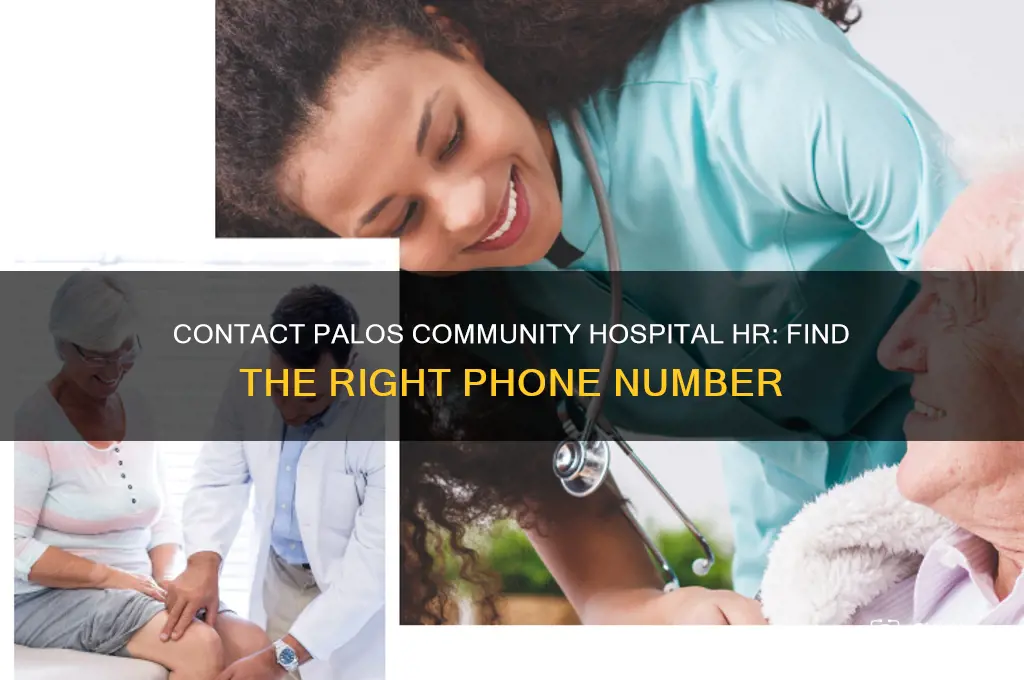 what phone number for palos community hospital human resources