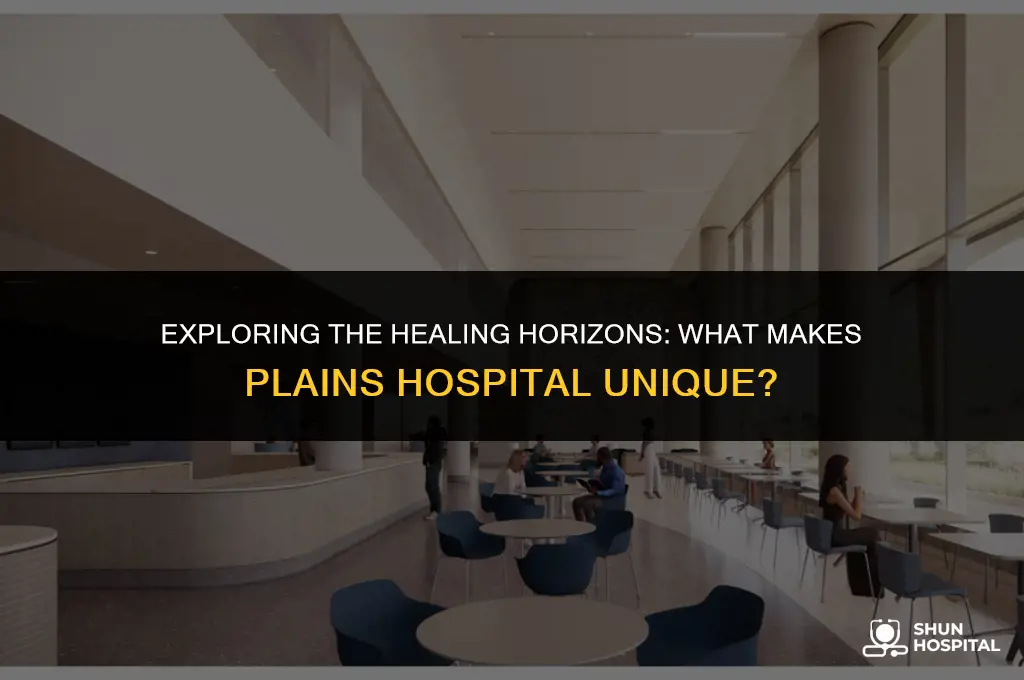 what plains hospital