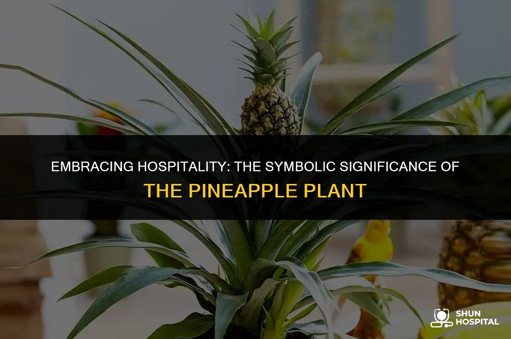 what plant represents hospitality
