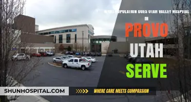 Utah Valley Hospital: Serving Provo and Beyond – Population Insights