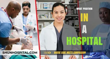 Exploring Diverse Roles: A Guide to Positions in a Hospital Setting