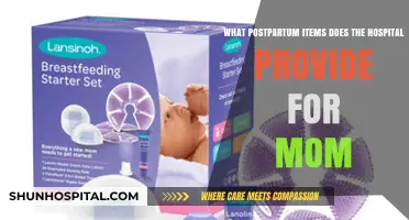 Essential Postpartum Supplies: What Hospitals Provide for New Moms
