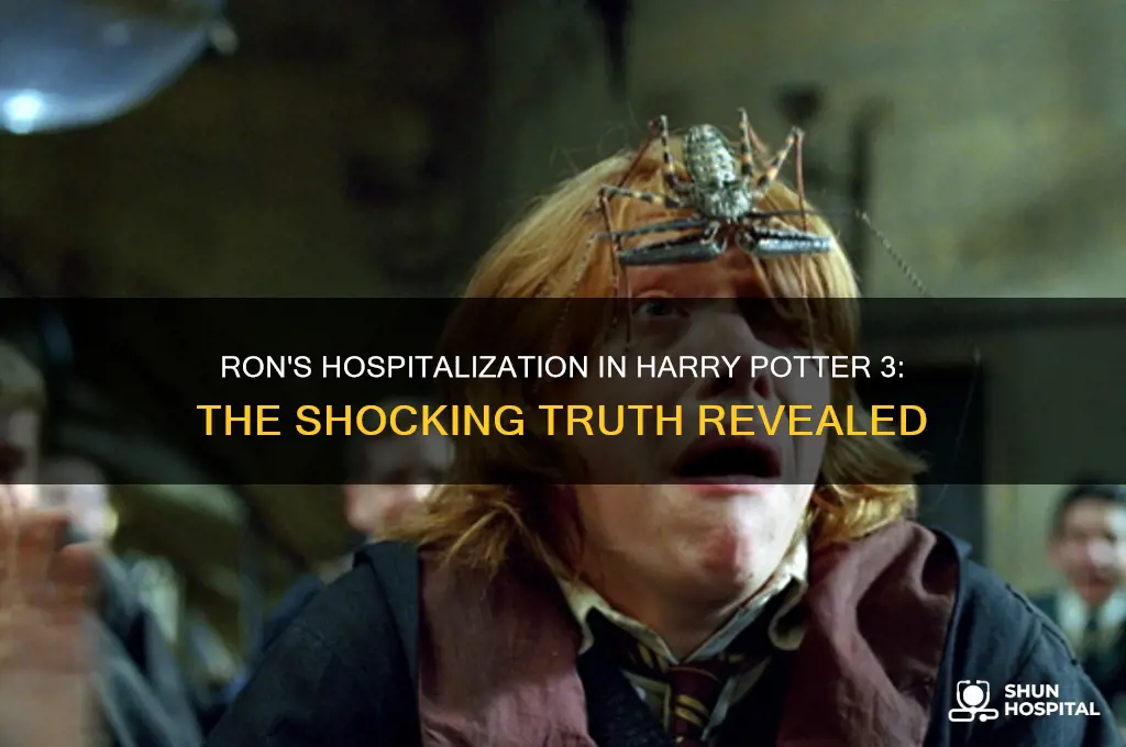what puts ron in the hospital in harry poyter 3