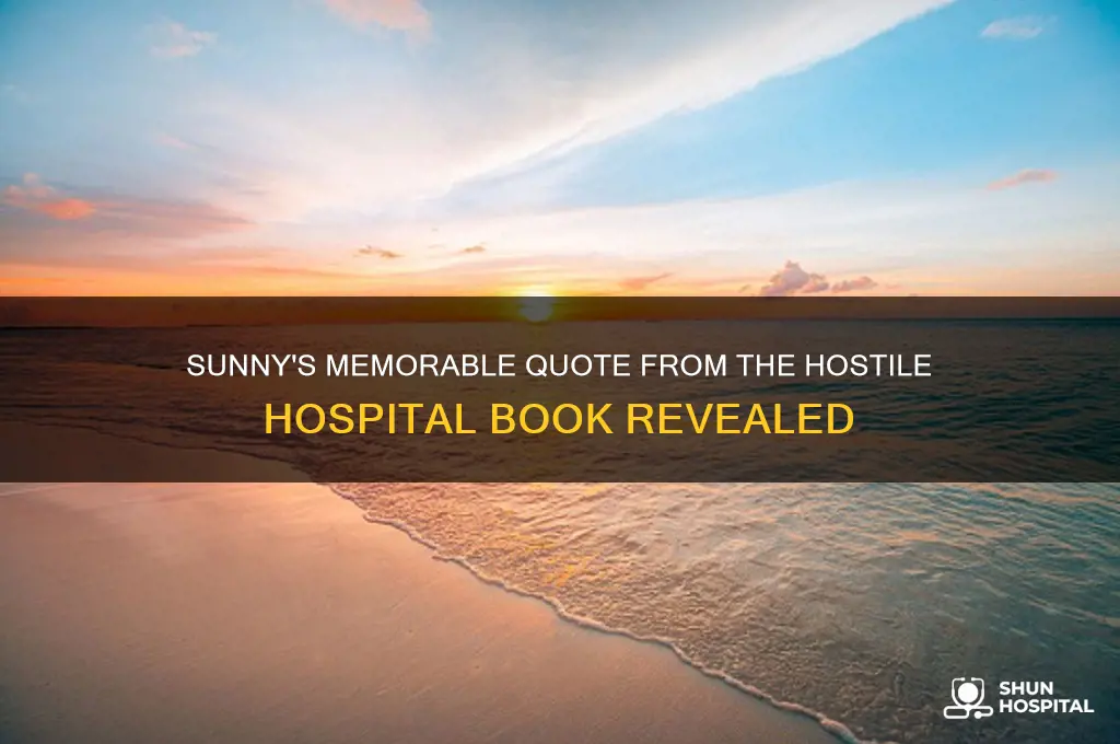 what quote did sunny say in hostile hospital book