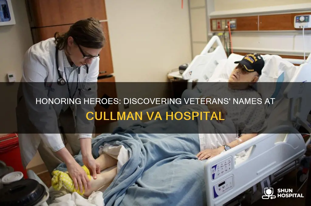 what r the veteranians name at cullman vietary hospital