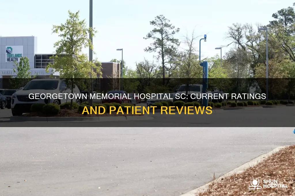 what rating does georgetown memorial hospital in georgetown sc have