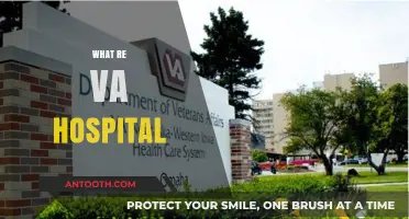 Exploring VA Hospitals: Services, Benefits, and Patient Care