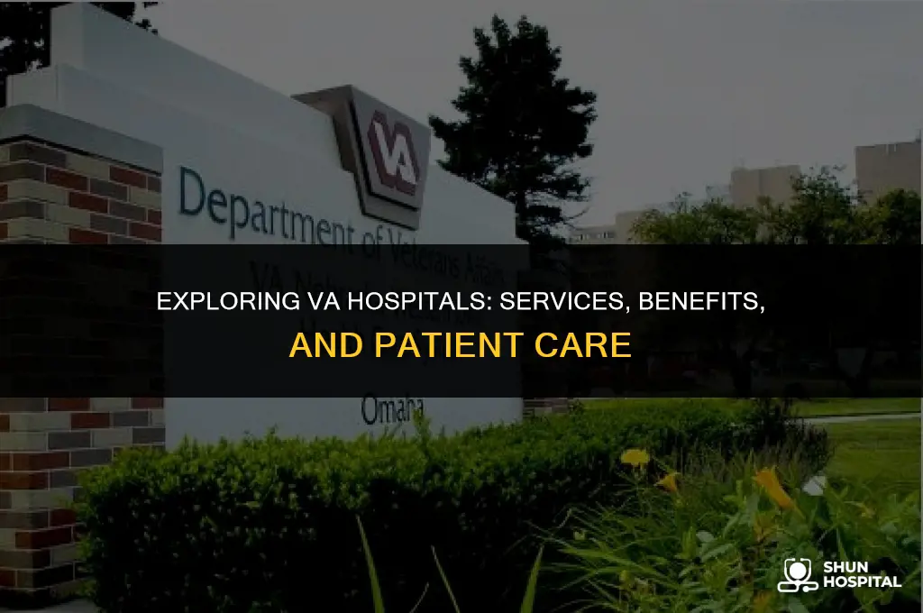 what re va hospital
