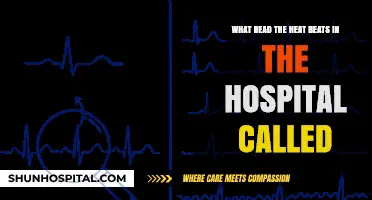 Decoding Hospital Heart Monitoring: What’s the Heat Beat Reading Called?